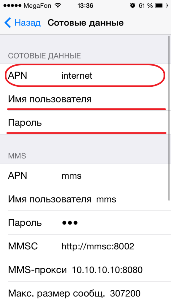 Как настроить интернет на iPhone?