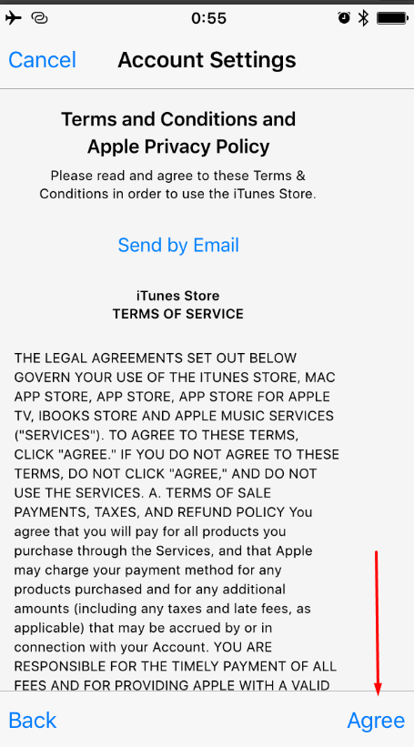 Положения и условия iTunes Store